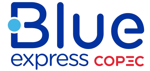Blue Express Logo